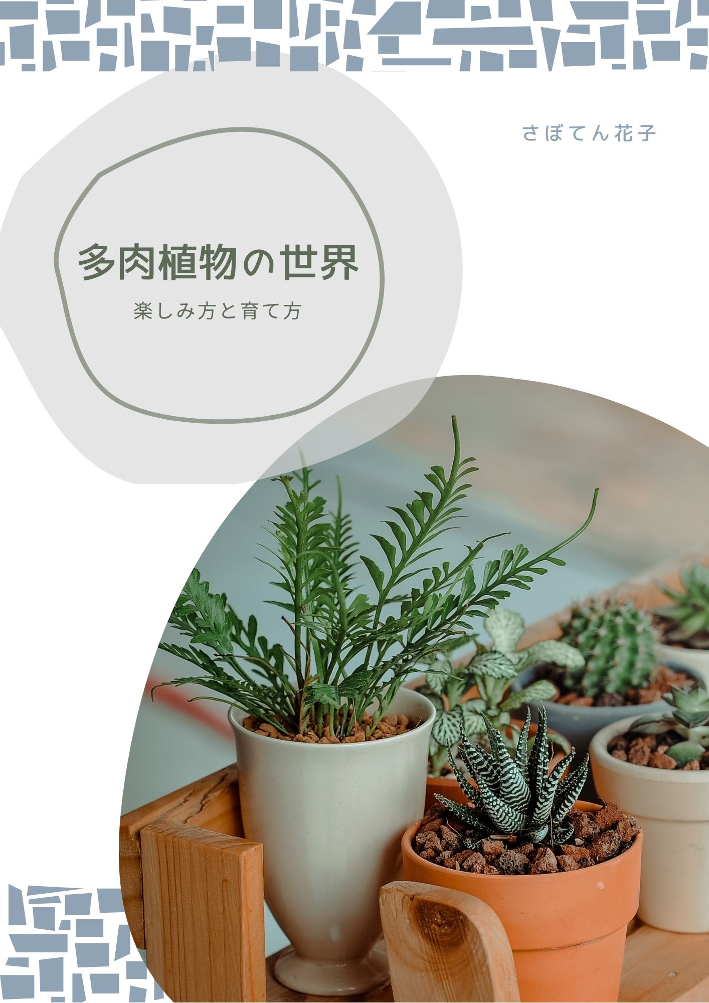 多肉植物の世界