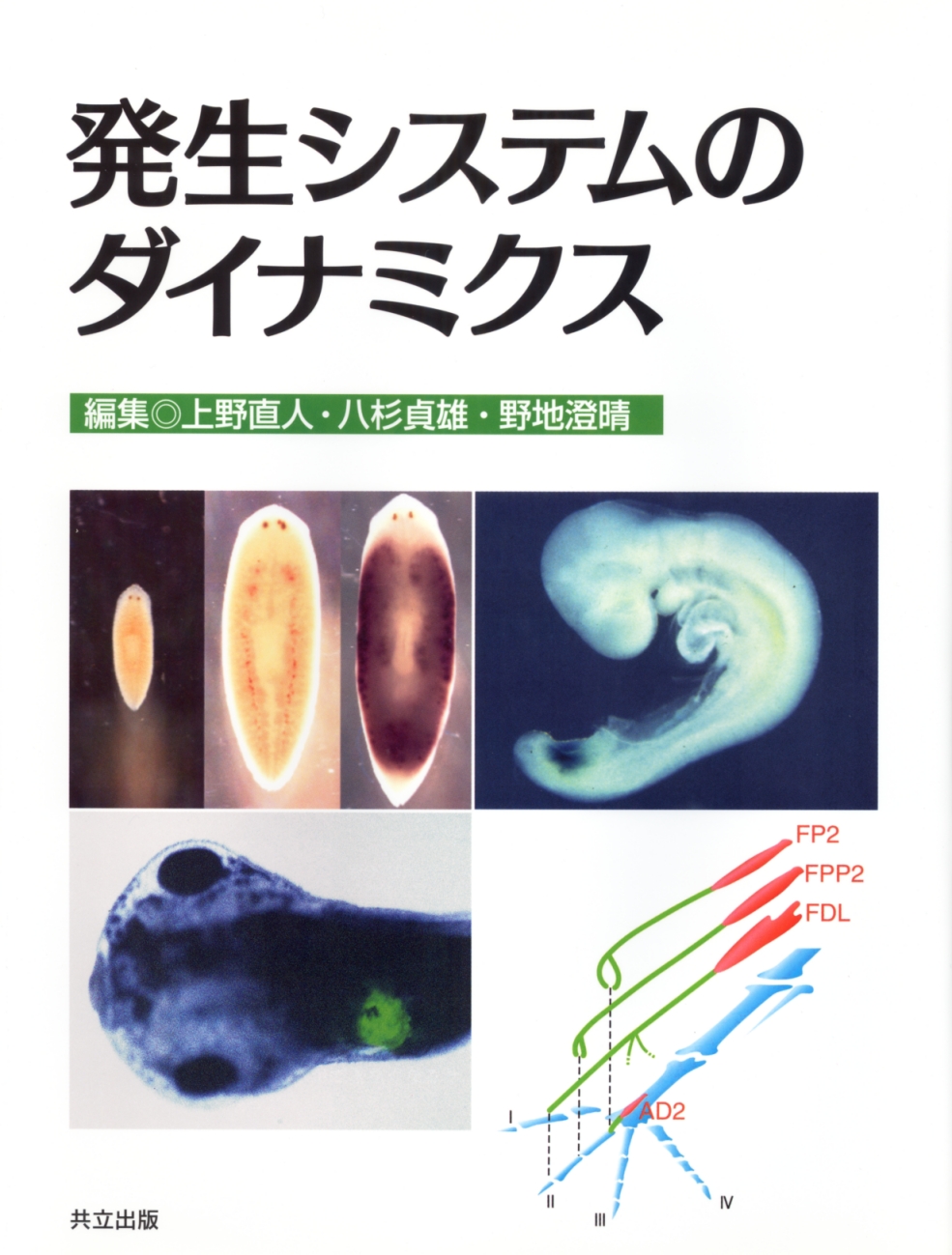 発生システムのダイナミクス - 共立出版