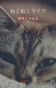 ねこねこライフ