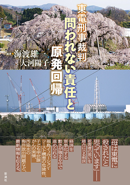 東電刑事裁判 問われない責任と原発回帰 - 彩流社