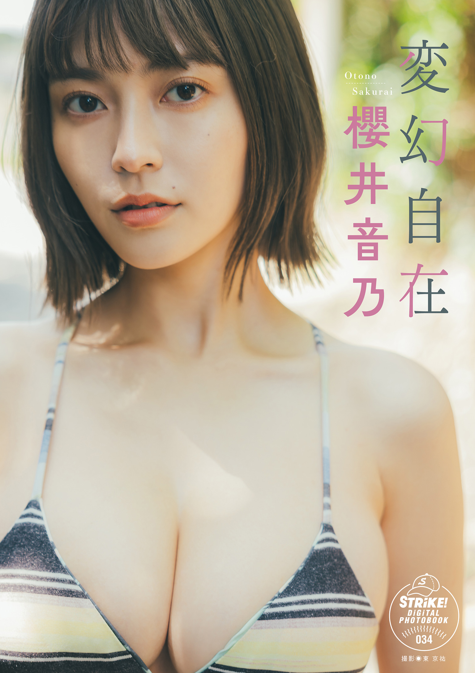 櫻井音乃 変幻自在 - 株式会社 主婦の友社 主婦の友社の本