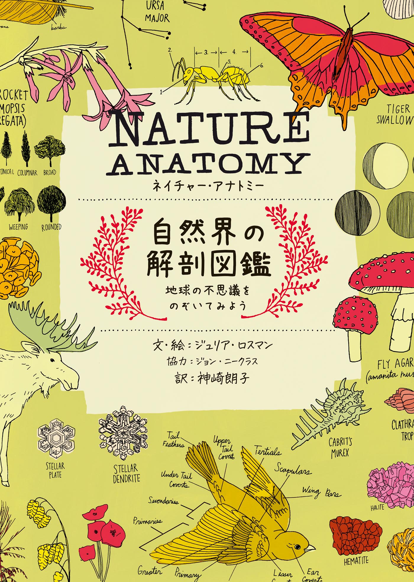 NATURE ANATOMY（ネイチャー・アナトミー）自然界の解剖図鑑 - 株式