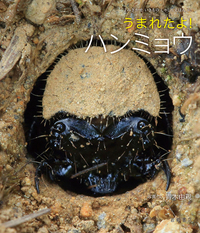 うまれたよ！ ダンゴムシ - 株式会社岩崎書店 この1冊が未来をつくる