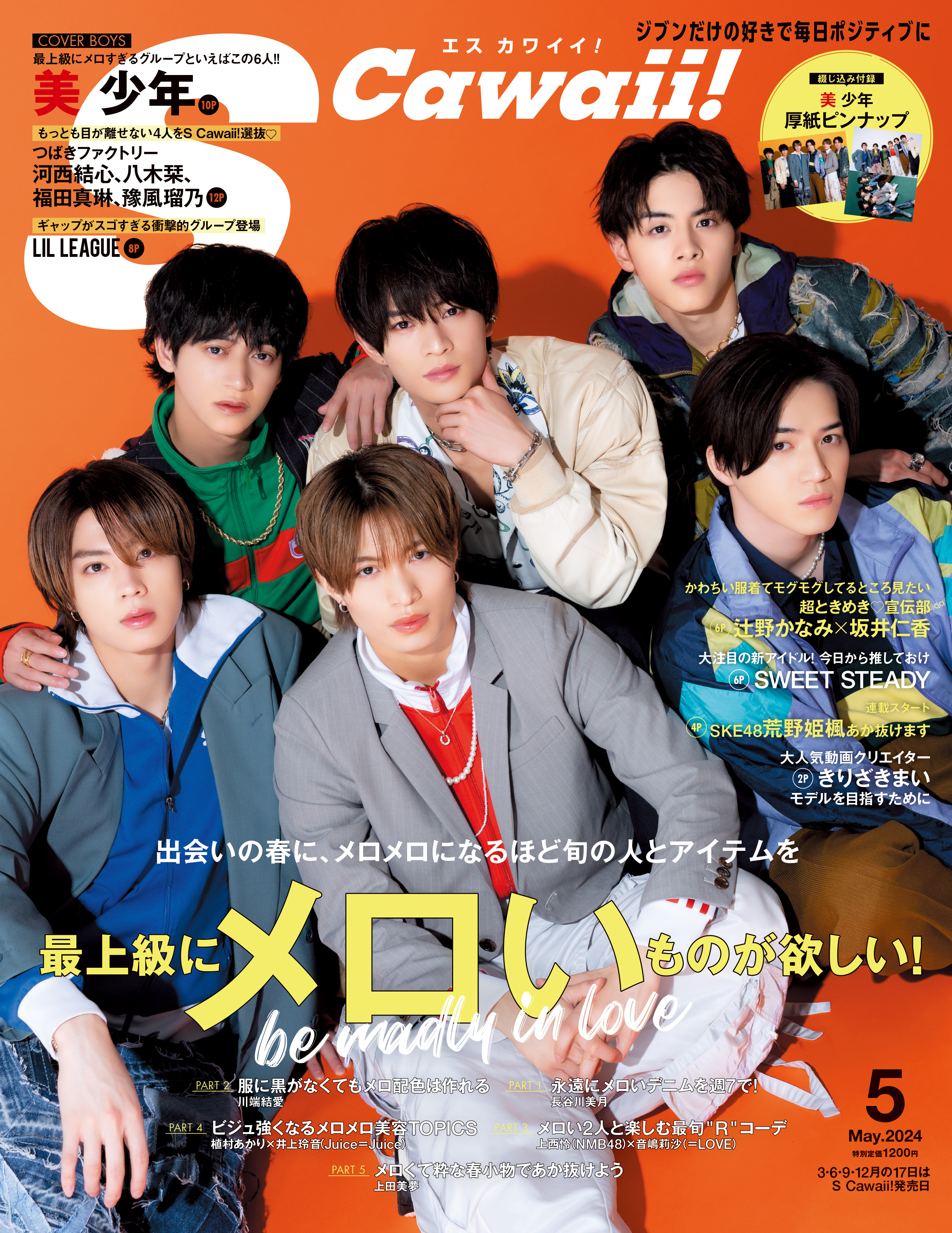 S Cawaii! - 株式会社 主婦の友社 主婦の友社の本