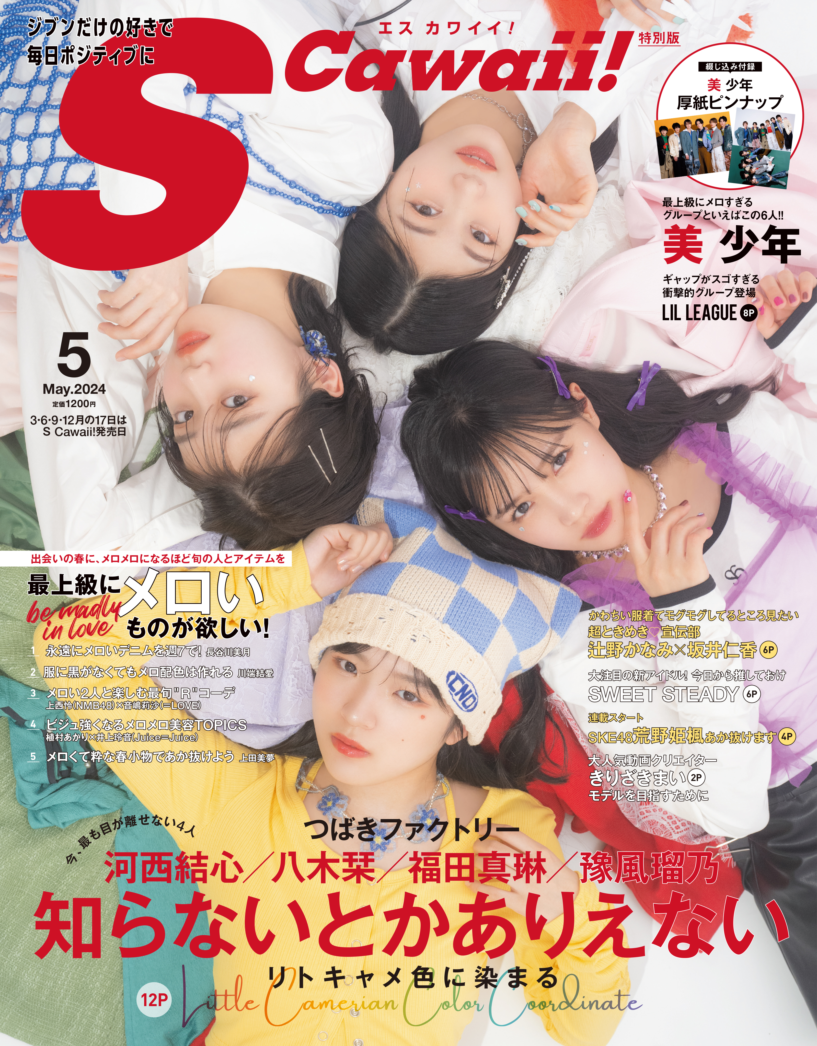 S Cawaii! - 株式会社 主婦の友社 主婦の友社の本