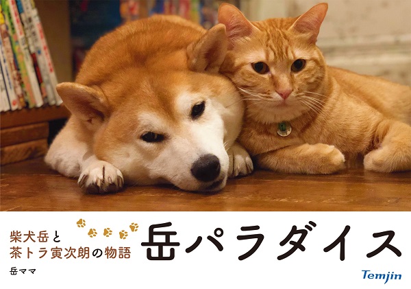 柴犬岳と茶トラ寅次朗の物語 岳パラダイス - イカロス出版 イカロス