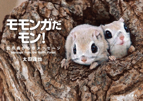 ももんがさん予約済 モモンガだモン！北の森からのメッセージ - イカロス出版 イカロス出版の本