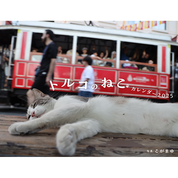 【イカロス出版から発売】トルコのねこカレンダー2025