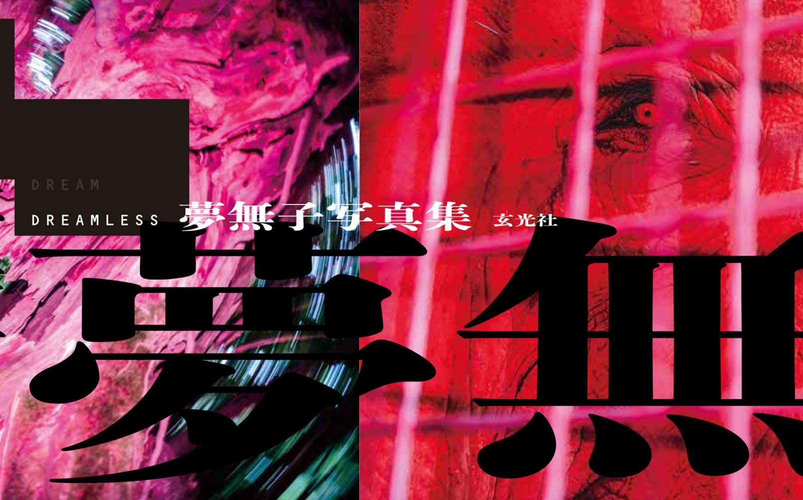 DREAMLESS　夢無子写真集