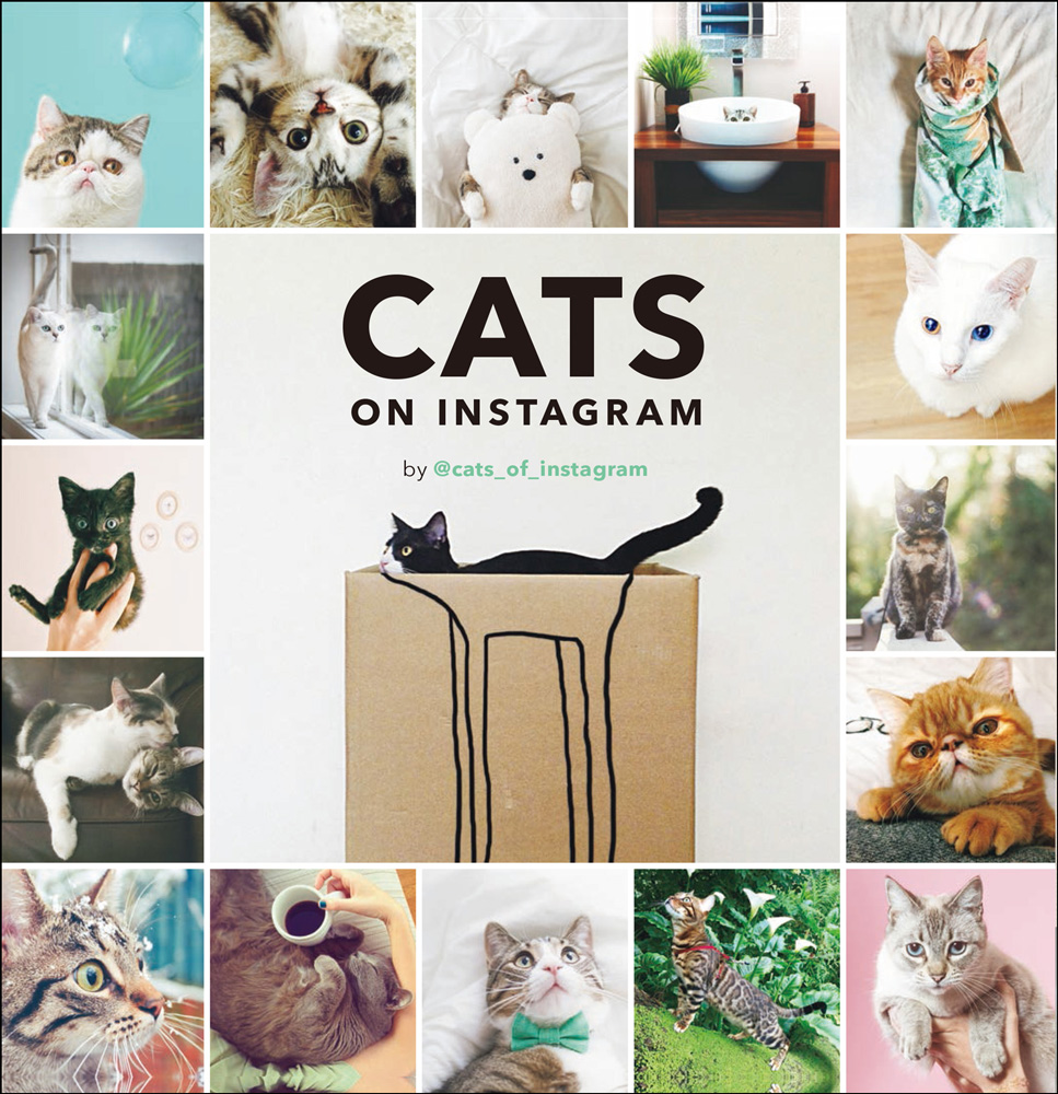 CATS ON INSTAGRAM - 株式会社玄光社