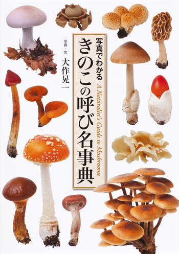 きのこの呼び名事典 - 世界文化社グループ