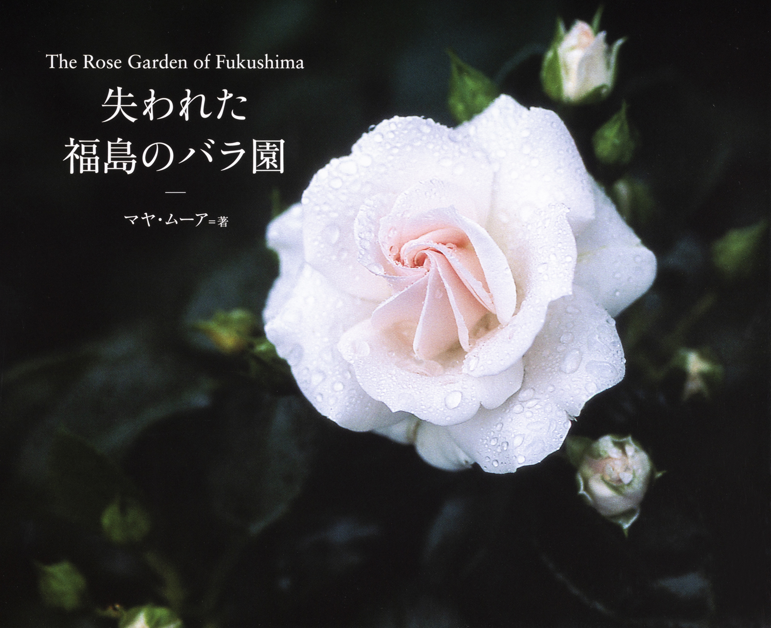 失われた福島のバラ園 The Rose Garden of Fukushima - 世界文化