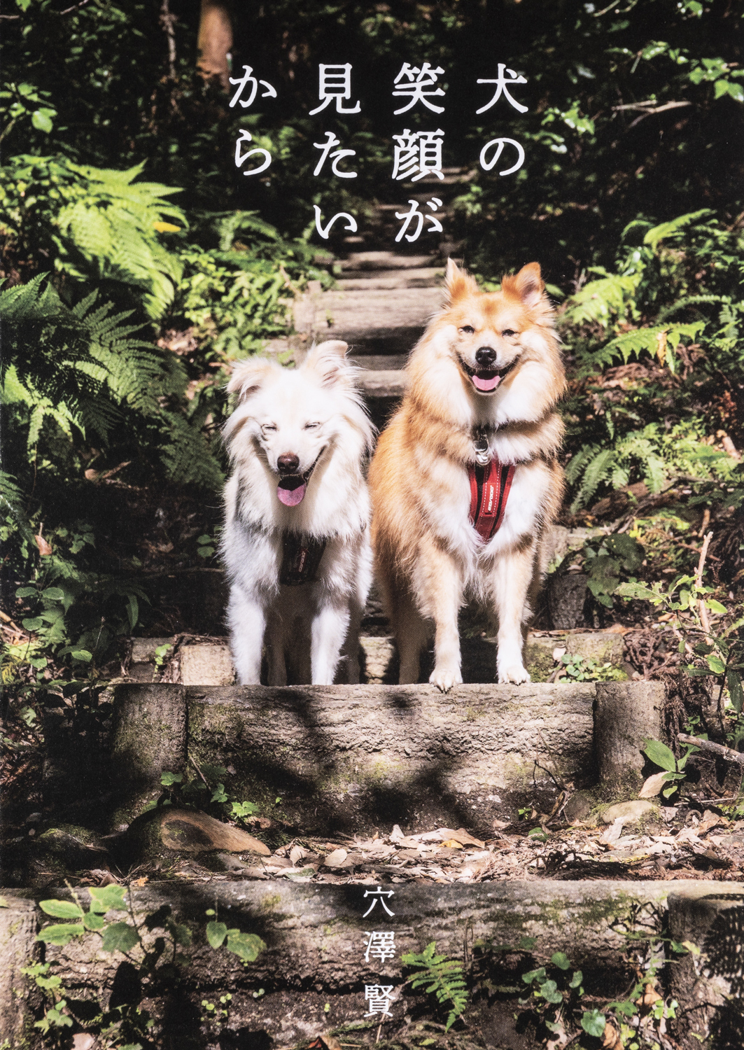 犬の笑顔が見たいから - 世界文化社グループ