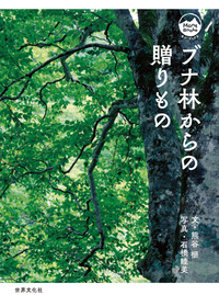 熊谷 榧 - 世界文化社グループ