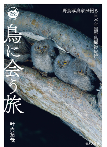 鳥に会う旅 - 世界文化社グループ