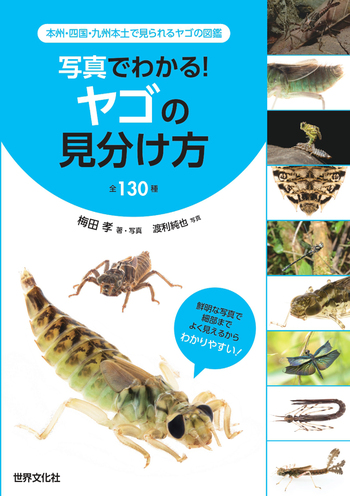 写真でわかる！ ヤゴの見分け方 全130種 - 世界文化社グループ