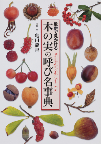 木の実 木の実の呼び名事典 - 世界文化社グループ