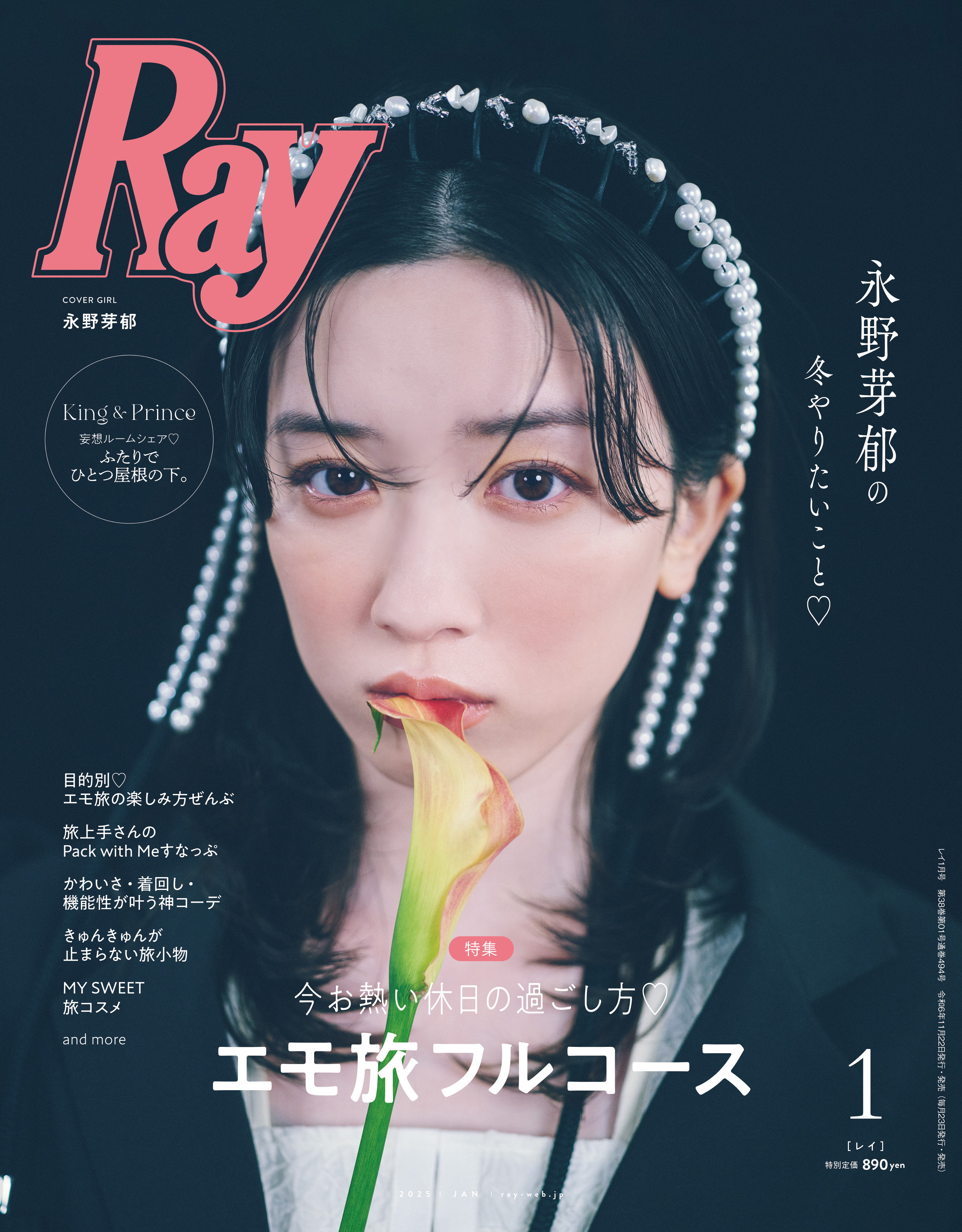 Ray - 株式会社 主婦の友社 主婦の友社の本