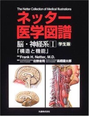 ネッター医学図譜 脳・神経系I 構造と機能 - 丸善出版 理工・医学