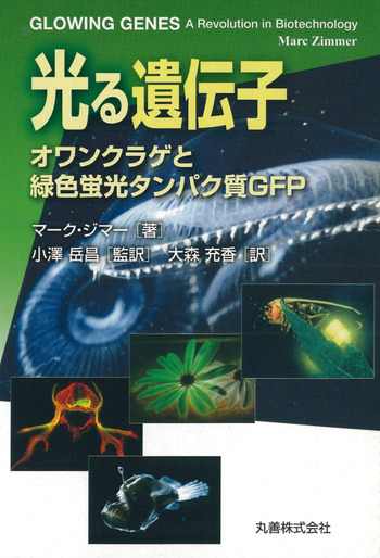光る遺伝子 - 丸善出版 理工・医学・人文社会科学の専門書出版社