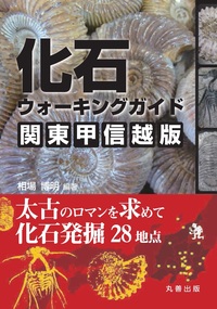 鉱物ウォーキングガイド 関東甲信越版 - 丸善出版 理工・医学・人文
