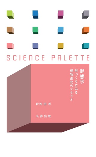グラフィカル機能形態学 第二版 Amazon.co.jp: グラフィカル機能形態学 第2版 : おもちゃ
