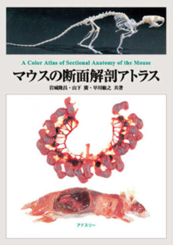 マウスの断面解剖アトラス マウスの断面解剖アトラス - 丸善出版 理工・医学・人文社会科学