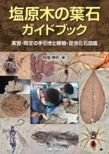 塩原木の葉石ガイドブック - 丸善出版 理工・医学・人文社会科学