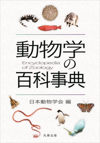 世界の食文化百科事典　丸善出版 世界の暦文化事典 - 丸善出版 理工・医学・人文社会科学の専門書