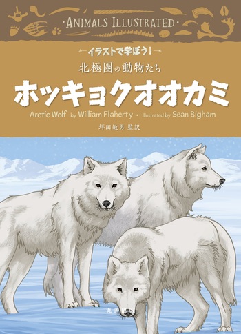The Wolf House オオカミの家 DVD 海外図書館版 オオカミの家 初回生産限定