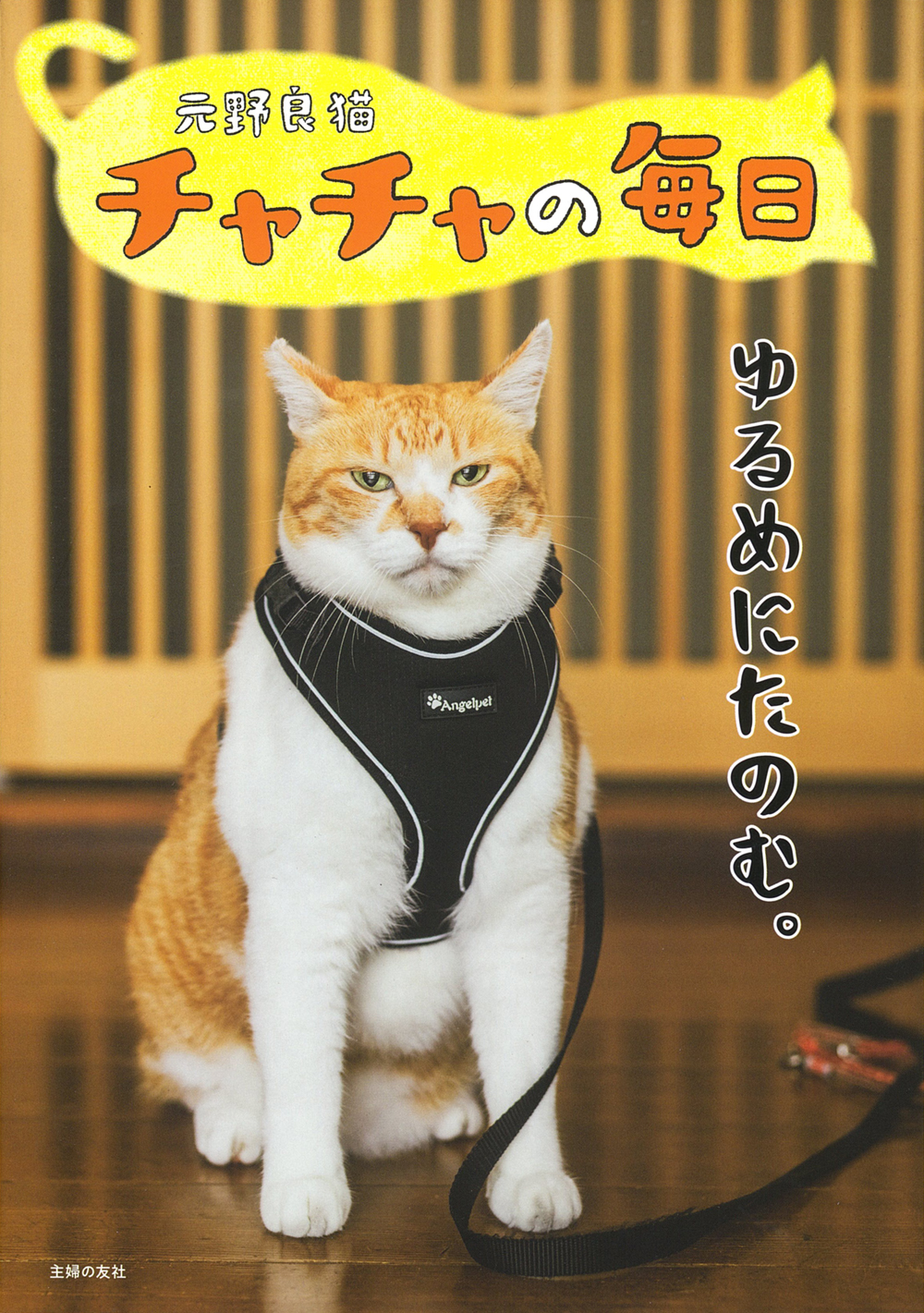 元野良猫チャチャの毎日 - 株式会社 主婦の友社 主婦の友社の本