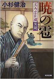 小杉 健治 - 光文社の本