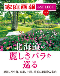 家庭画報 e-SELECT Vol.15 リゾートホテルの最高峰 至福の「アマン