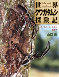 ダンゴムシページ 水の中のダンゴムシ：あなたの知らない等脚類の多様な世界 | 富川光