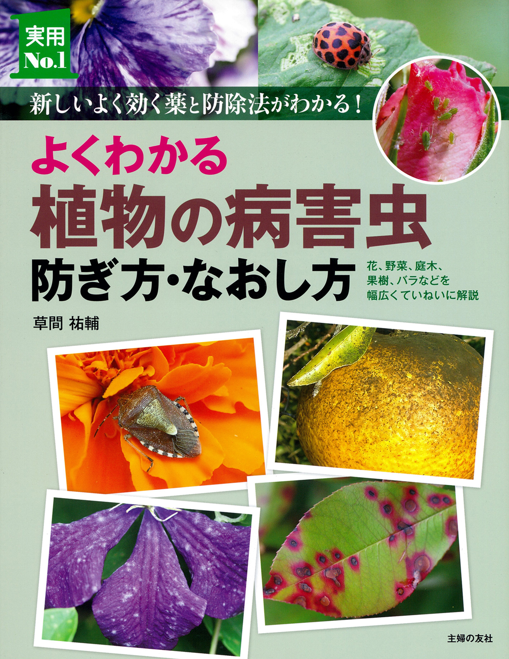 よくわかる植物の病害虫 防ぎ方・なおし方 - 株式会社