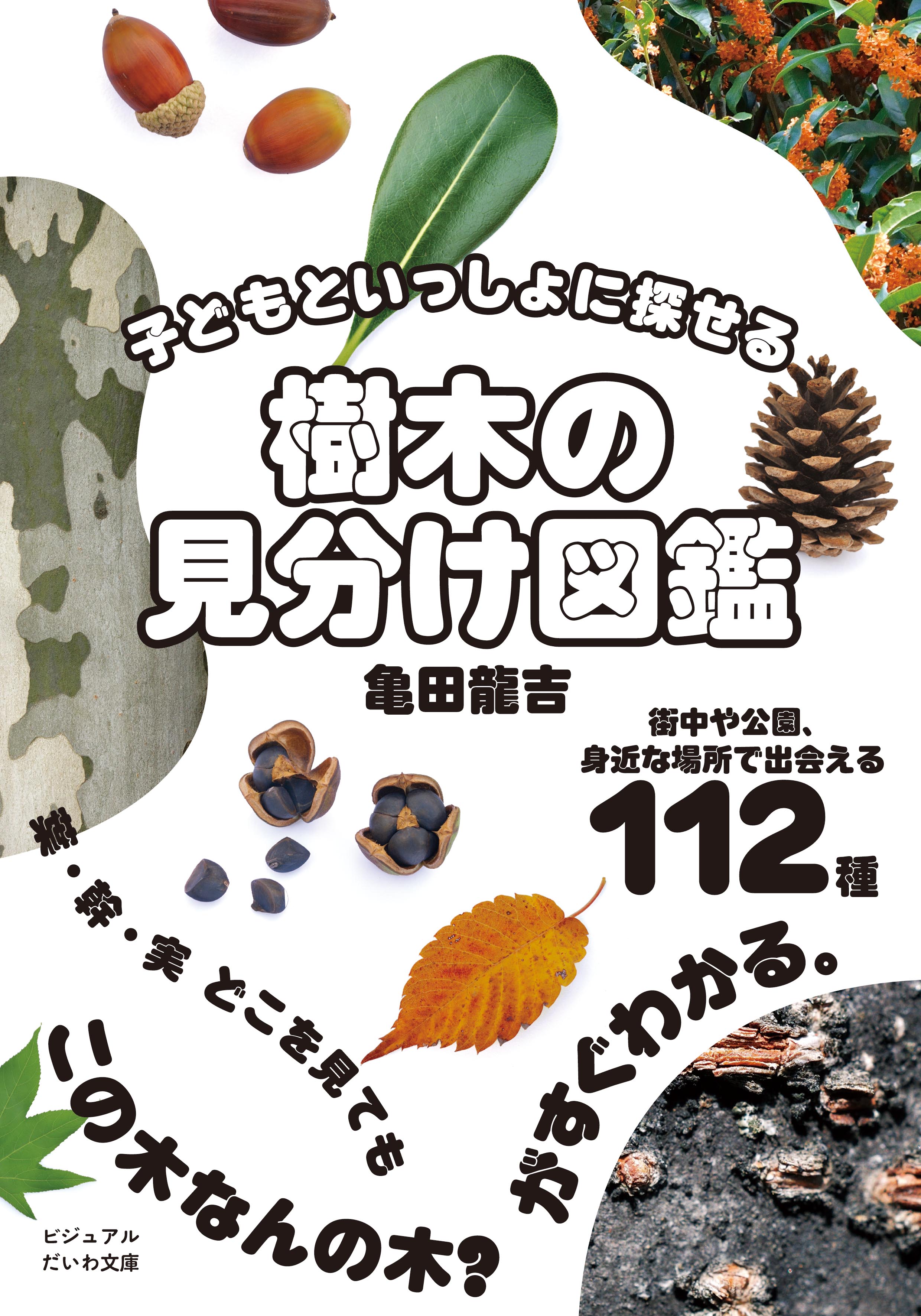 釣り人のための渓流の樹木図鑑 樹木の見分け図鑑 - 株式会社 大和書房 生活実用書を中心に発行。