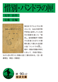 【applemoter】岩波文庫蒲団他8冊 applemoter様専用】岩波文庫蒲団他8冊 文学・小説