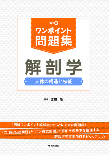 解剖生理学1から3弾おまとめ！➕USB 解剖生理学1から3弾おまとめ！➕USB Amazon.co.jp 売れ筋