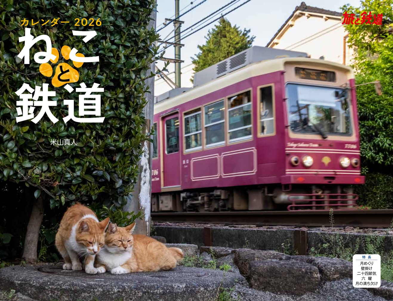 ねこ汰　3/15まで 終了】223フェス にゃんにゃんみーフェス – 天文館 公式ホームページ