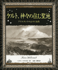 ケルト美術・工芸 写真集 Irish Antiquities ケルト美術・工芸 写真集 Irish Antiquities ケルト美術・工芸