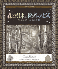 種類・特徴から材質・用途までわかる樹木と木材の図鑑 - 創元社