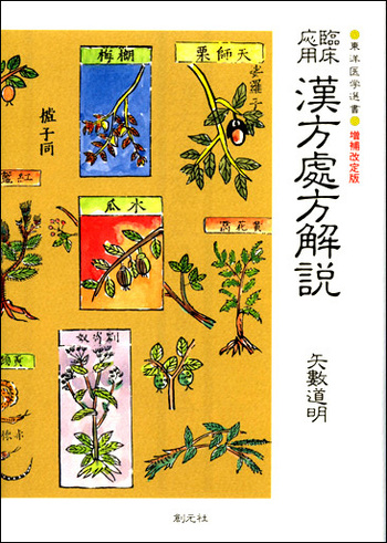 漢方処方解説 : 臨床応用　創元社　東洋医学選書　値下げしました 臨床応用 漢方処方解説 - 創元社