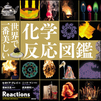 中古品　「世界で一番美しい　元素図鑑　&　分子図鑑」を２冊セットで 世界で一番美しい分子図鑑 - 創元社