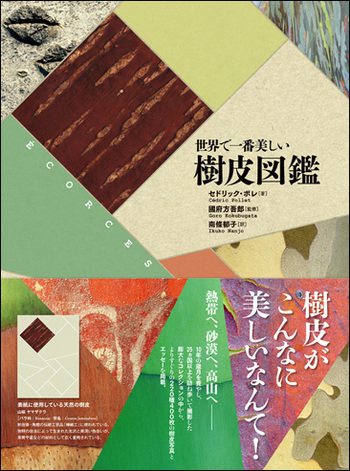 世界で一番美しい樹皮図鑑 - 創元社