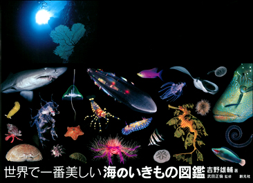 世界で一番美しい海のいきもの図鑑 - 創元社