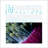 黄昏 In the Twilight - 創元社