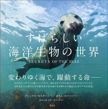 すばらしい海洋生物の世界 - 創元社