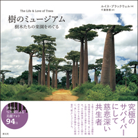 世界で一番美しい樹皮図鑑 世界で一番美しい樹皮図鑑 通販｜セブンネットショッピング