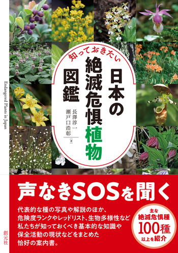 日本の絶滅危惧植物図譜 Amazon.co.jp: 日本の絶滅危惧植物図譜 : 日本植物画倶楽部: 本