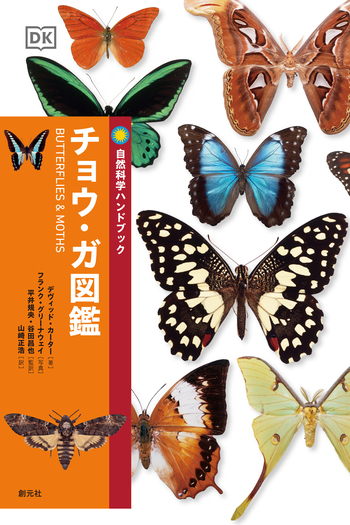 アフガニスタン蝶類図鑑 アフガニスタン蝶類図鑑(酒井成司 著) / あじさい堂書店 / 古本